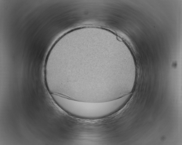 X0000116781288201001281207