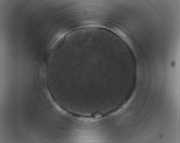 X0000116781289201001281207