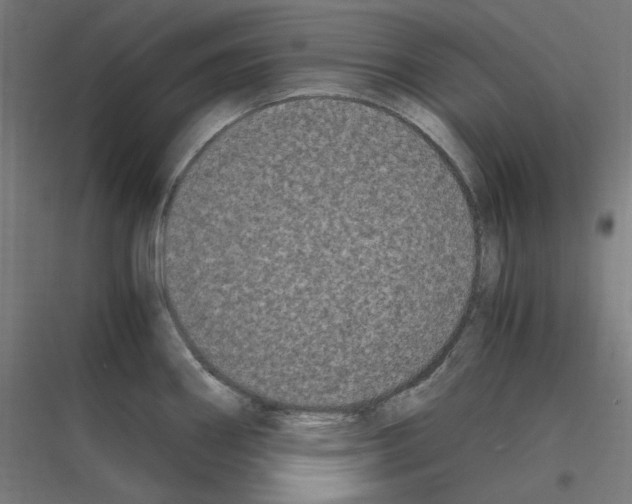 X0000116781290201001281206