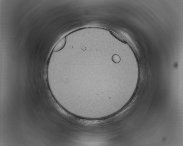 X0000116781292201001281206