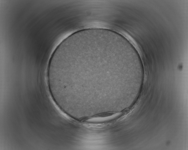 X0000116781293201001281206