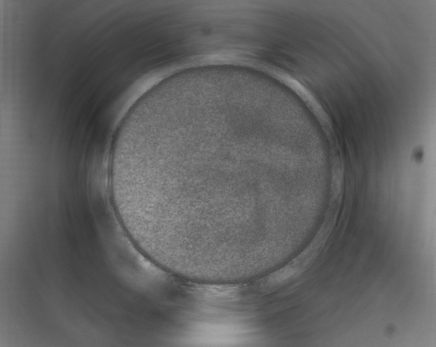 X0000116781294201001281206