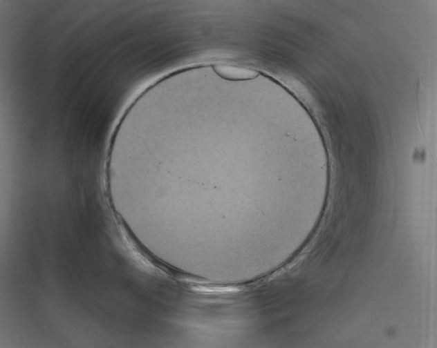 X0000116781296201001281206