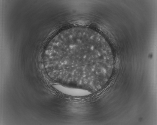 X0000116781297201001281206