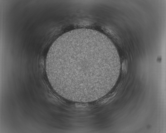 X0000116781299201001281206