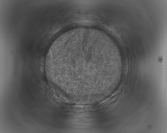 X0000116781301201001281206