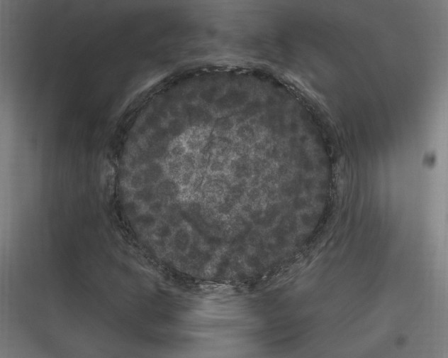 X0000116781302201001281206