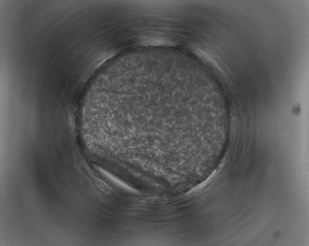 X0000116781305201001281206