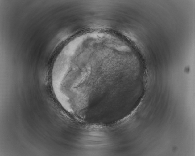 X0000116781306201001281206