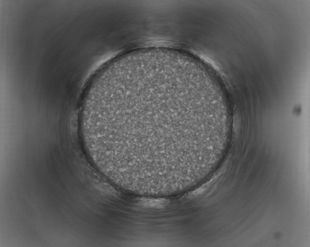 X0000116781309201001281206