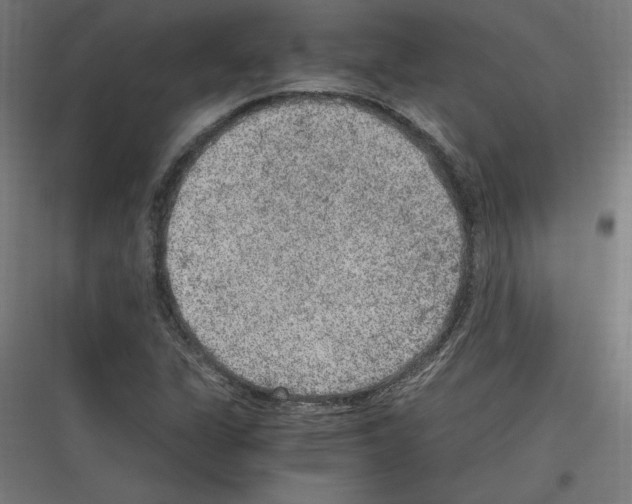 X0000116781311201001281206