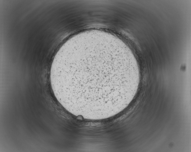 X0000116781313201001281206