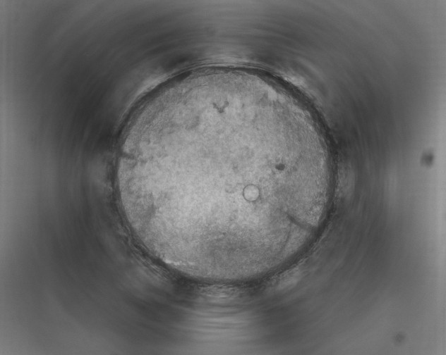 X0000116781314201001281206