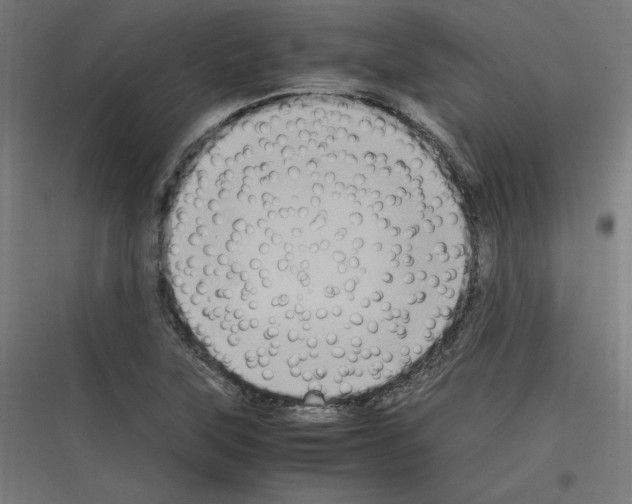 X0000116781315201001281206