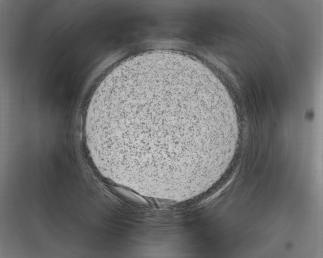 X0000116781317201001281206