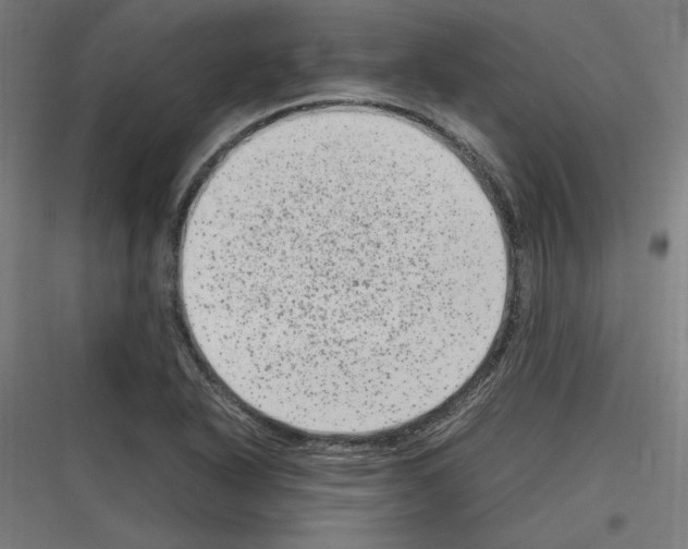 X0000116781318201001281206