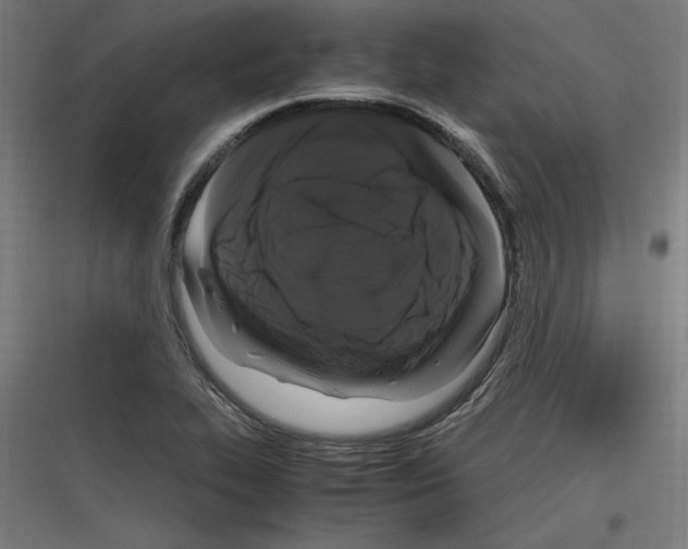 X0000116781319201001281206