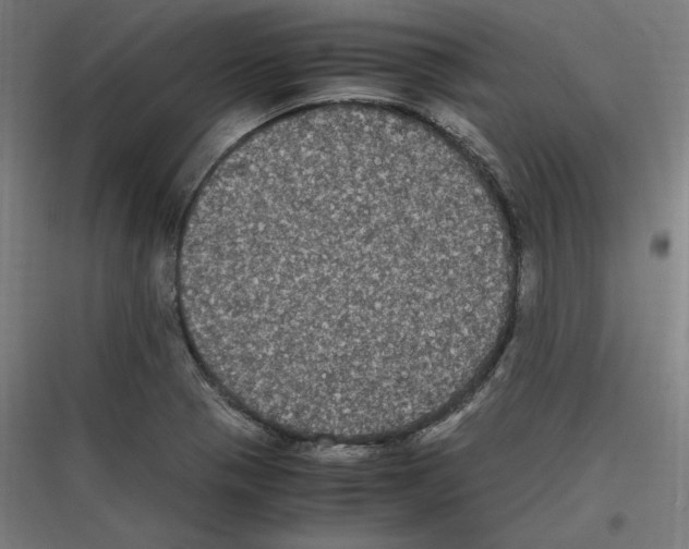 X0000116781321201001281206