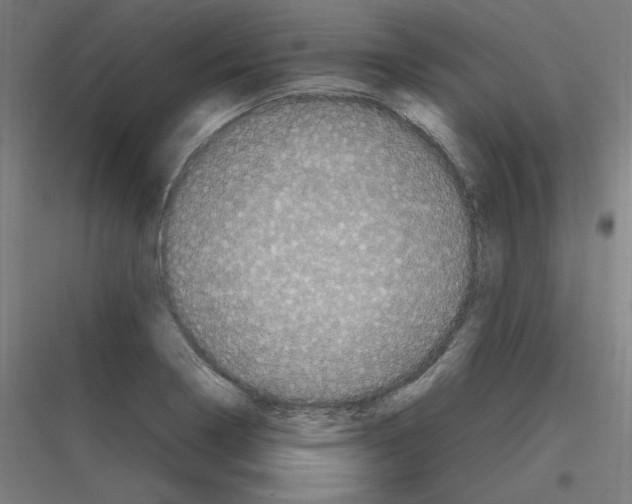 X0000116781322201001281206