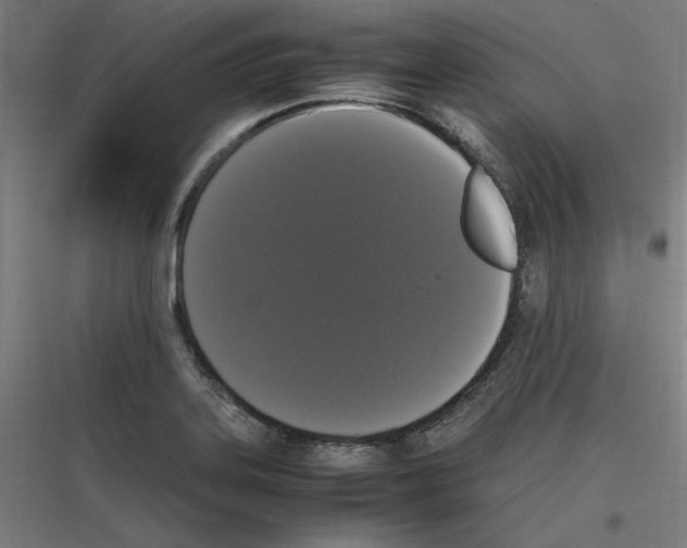 X0000116781323201001281206