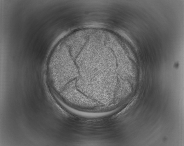 X0000116781325201001281206