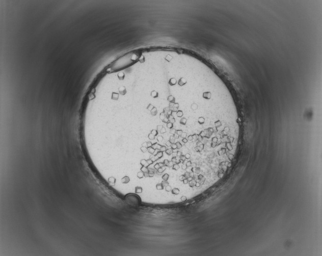 X0000116781326201001281206