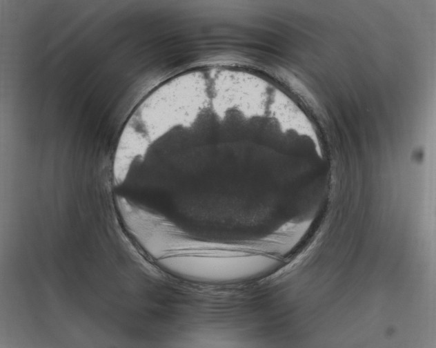 X0000116781329201001281206