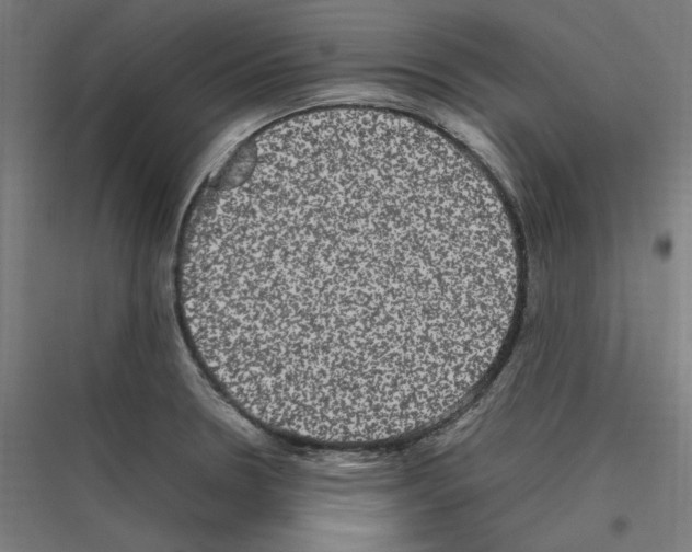 X0000116781330201001281206