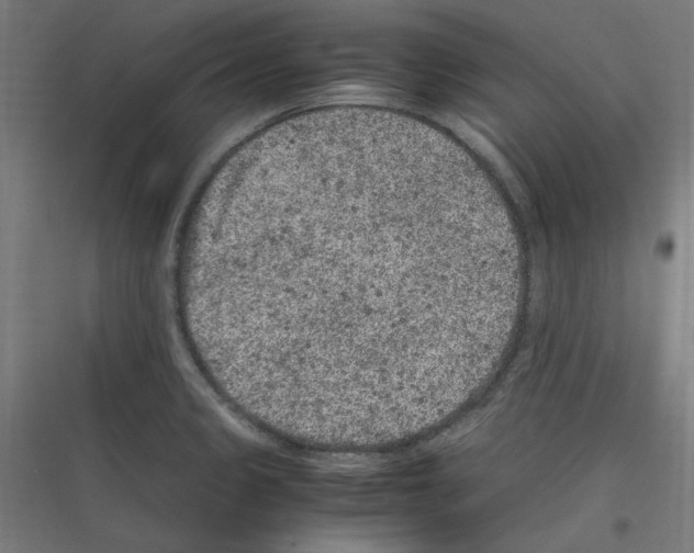 X0000116781333201001281206