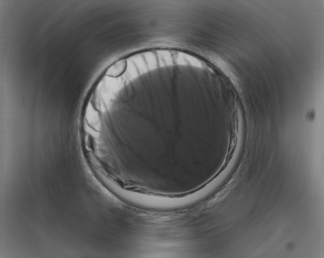 X0000116781334201001281206