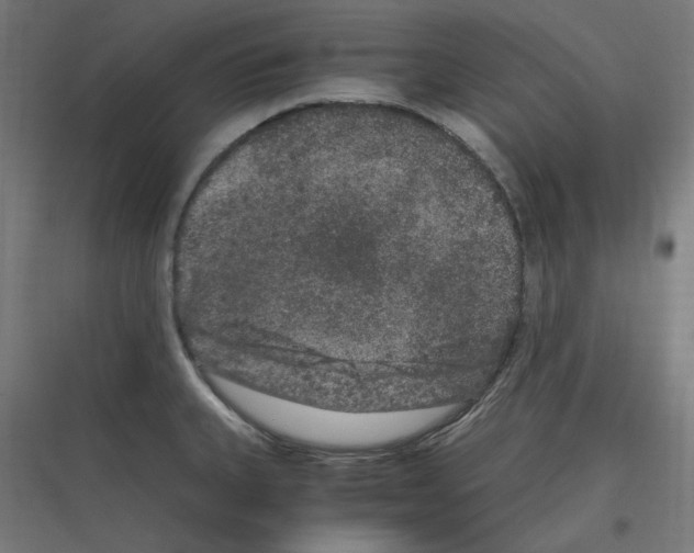 X0000116781335201001281206