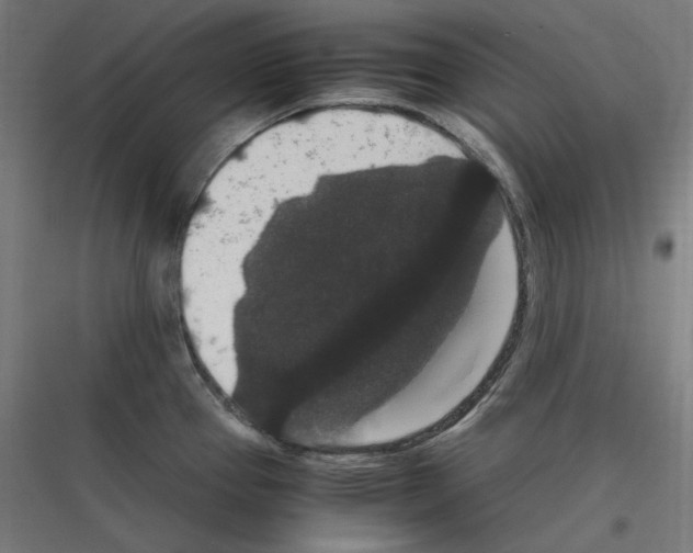 X0000116781337201001281206