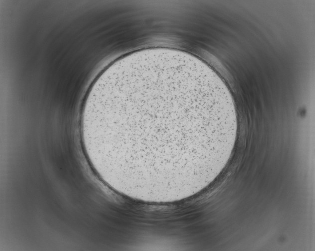 X0000116781339201001281206