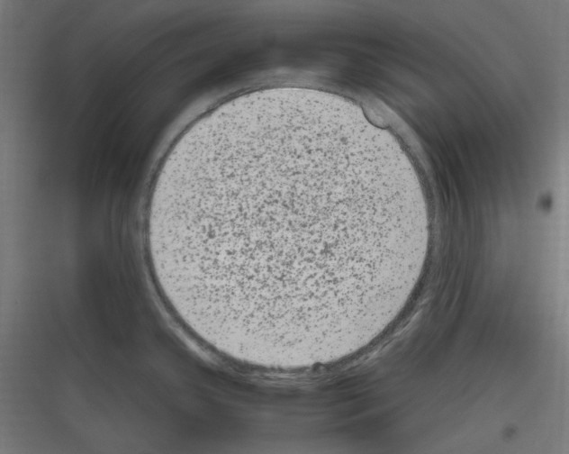 X0000116781341201001281206