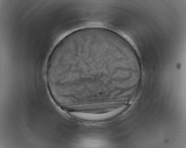 X0000116781342201001281206