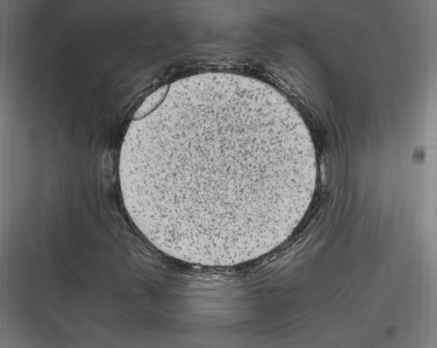 X0000116781347201001281206