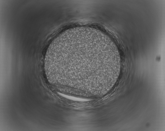 X0000116781349201001281206