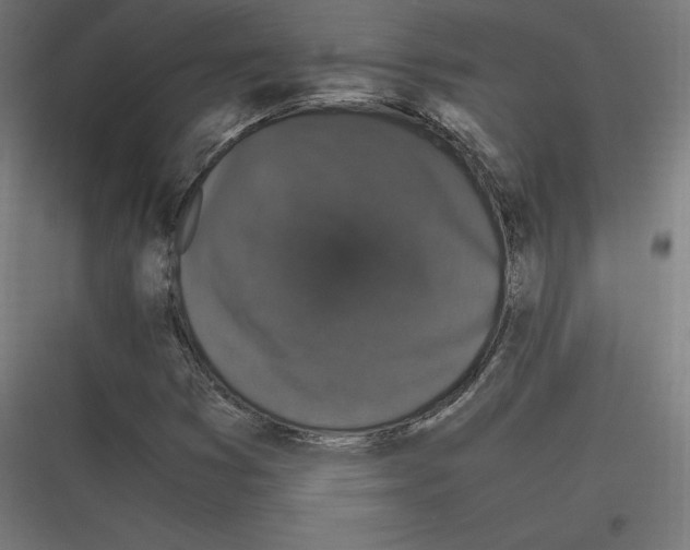 X0000116781353201001281206