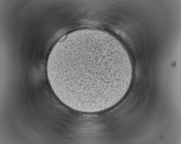 X0000116781354201001281206