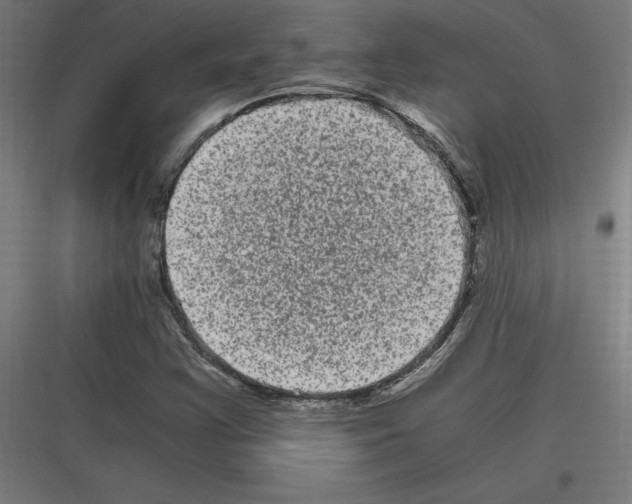 X0000116781355201001281206