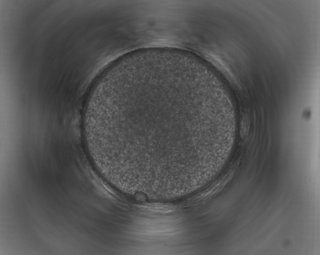 X0000116781356201001281206