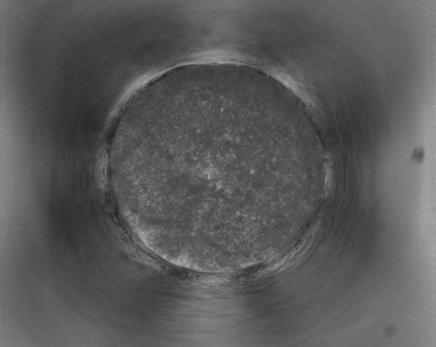 X0000116781358201001281206