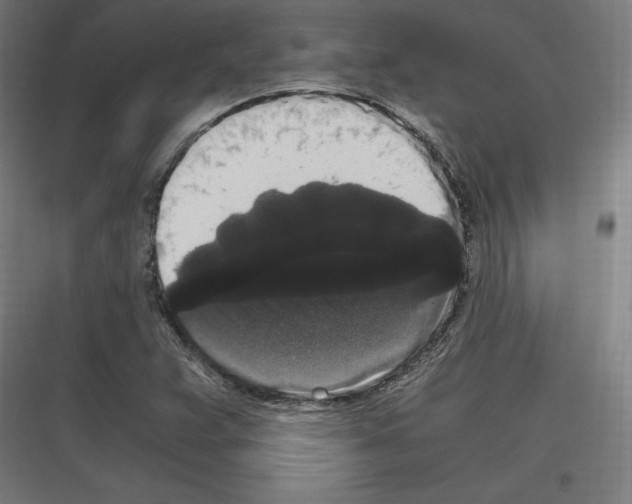 X0000116781359201001281206