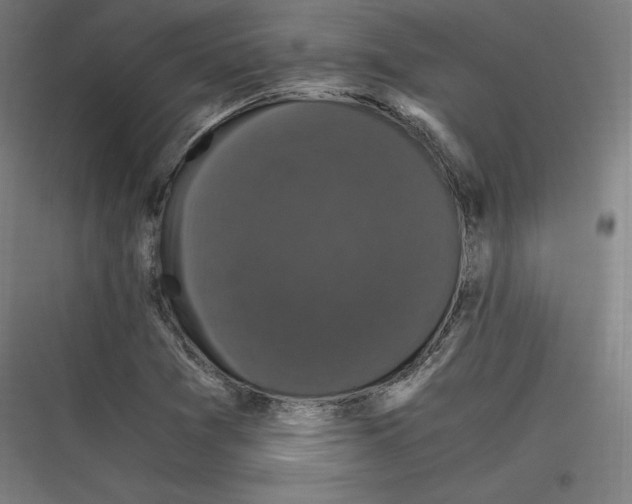 X0000116781361201001281206