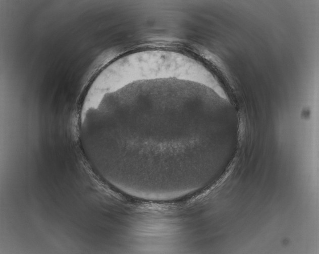 X0000116781362201001281206