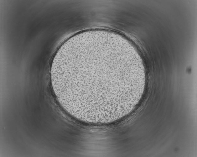 X0000116781363201001281206