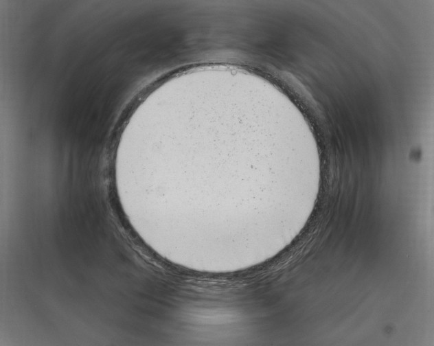 X0000116781364201001281205