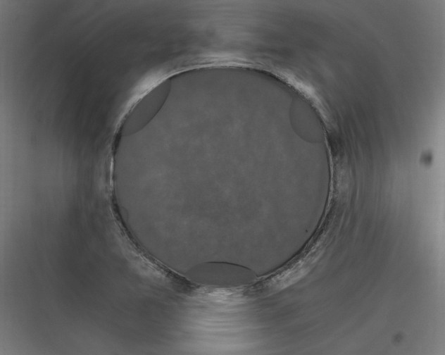 X0000116781365201001281205