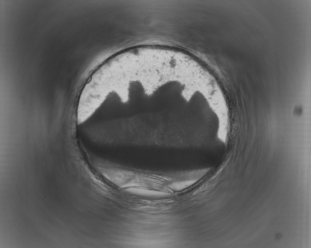 X0000116781367201001281205