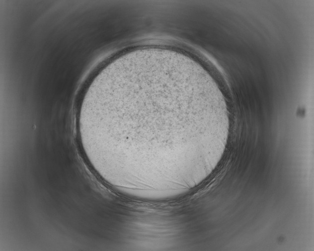 X0000116781368201001281205